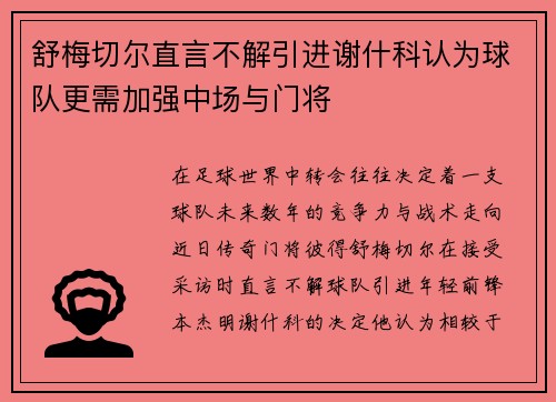 舒梅切尔直言不解引进谢什科认为球队更需加强中场与门将